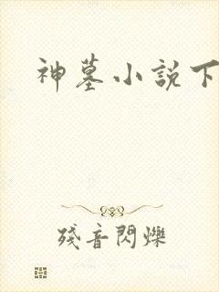 神墓小说下载