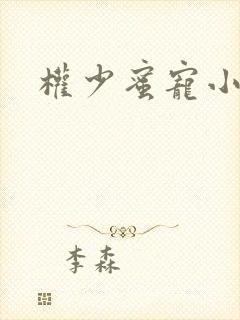 权少蜜宠小娇妻封面