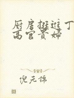 厨房挺进丁字裤高官贵妇封面