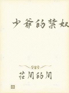少爷的禁奴