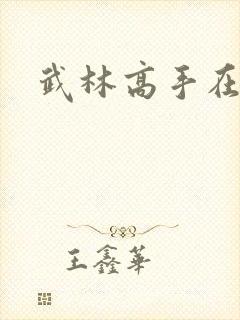 武林高手在异界