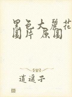 黑色大丽花真实图片 原图