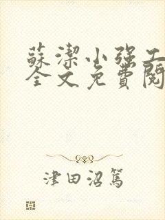 苏洁小强工地情全文免费阅读