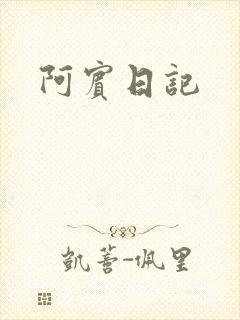 阿宾日记封面