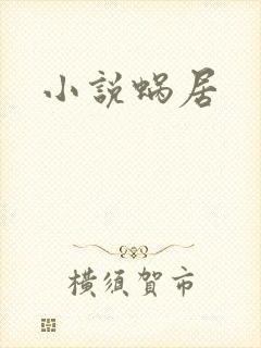 小说蜗居封面