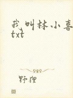 我叫林小喜小说txt