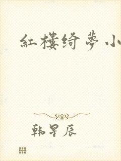 红楼绮梦小说封面