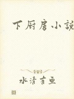 下厨房小说封面