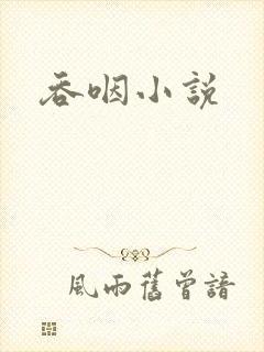 吞咽小说