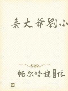 秦大爷刘小静封面