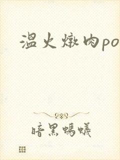 温火炖肉pop