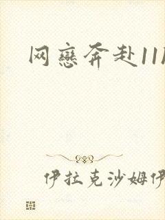 网恋奔赴11h
