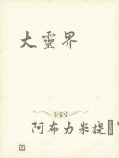 大灵界封面