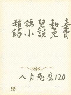 赵锦儿和秦慕修的小说免费阅读全文
