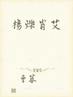 杨烁肖艾