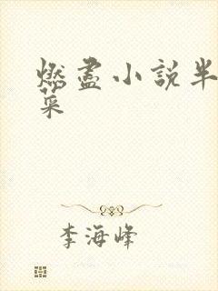 燃尽小说半截白菜
