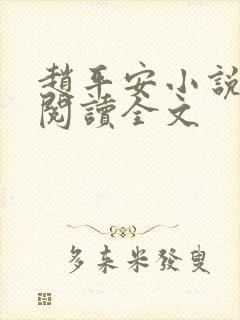 赵平安小说免费阅读全文
