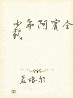 少年阿宾全集下载