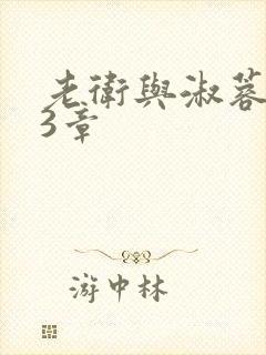 老卫与淑蓉第13章