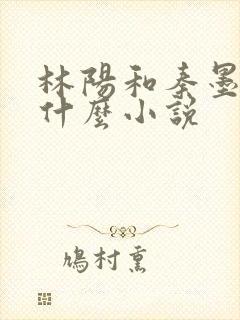 林阳和秦墨浓是什么小说封面