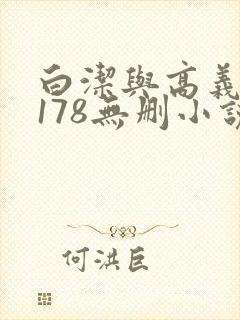 白洁与高义1～178无删小说封面