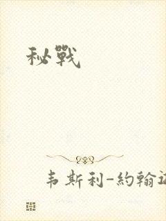 秘战