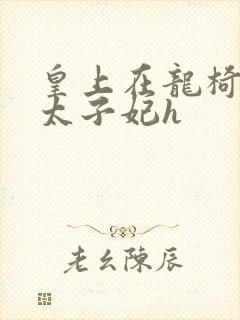 皇上在龙椅上c太子妃h封面