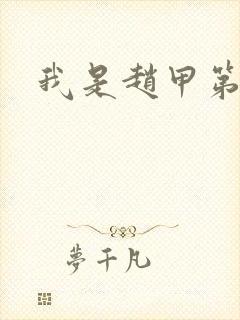 我是赵甲第小说