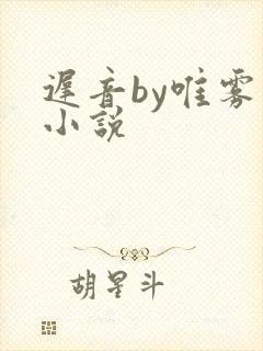 迟音by唯雾的小说