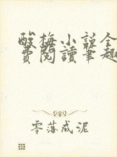 酸梅小说全文免费阅读笔趣阁