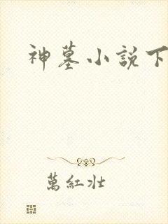 神墓小说下载封面