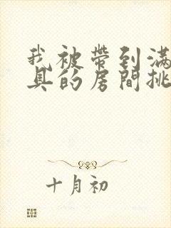 我被带到满是玩具的房间挑调游戏封面