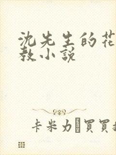 沈先生的花式调教小说