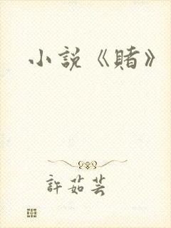 小说《赌》