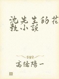 沈先生的花式管教小说封面