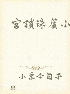 宫锁珠帘小说封面