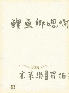 鲤鱼乡嗯啊