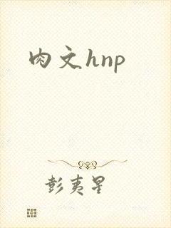 肉文hnp封面