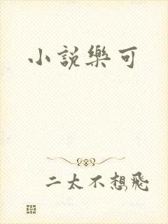 小说乐可封面