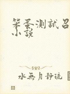笨蛋测试召唤兽小说