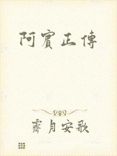 阿宾正传封面
