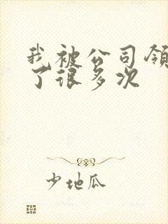 我被公司领导C了很多次