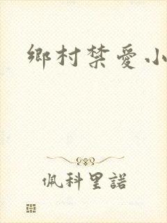 乡村禁爱小说