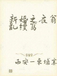 新婚之夜翁莹情乱续写
