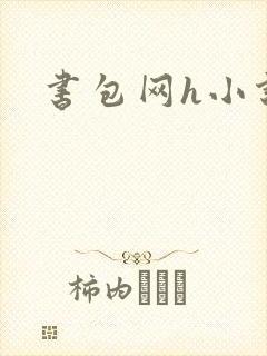 书包网h小说封面
