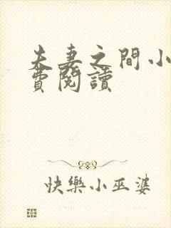 夫妻之间小说免费阅读