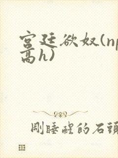 宫廷欲奴(np高h)