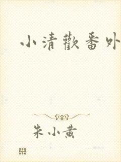 小清欢番外封面