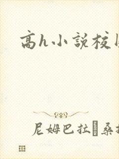 高h小说校园封面