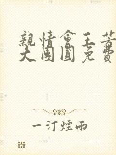 亲情会王芳高敏大团圆免费阅读